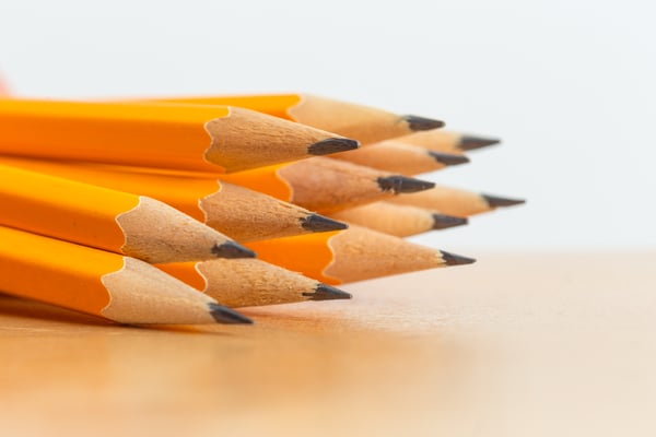 shutterstock_1113179420